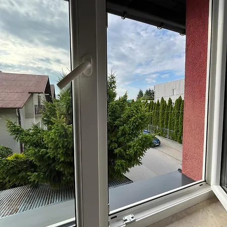 W Punkt